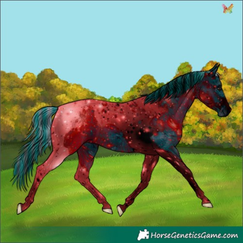 Horse Color:ERROR: UNKNOWN ANOMALY