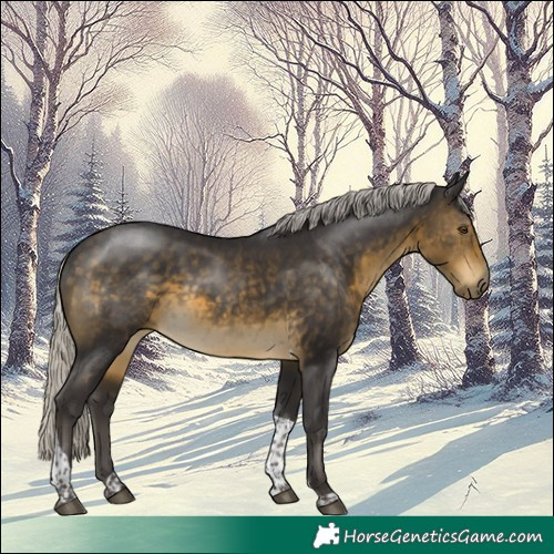 Horse Color:Silver Buckskin Tobiano 