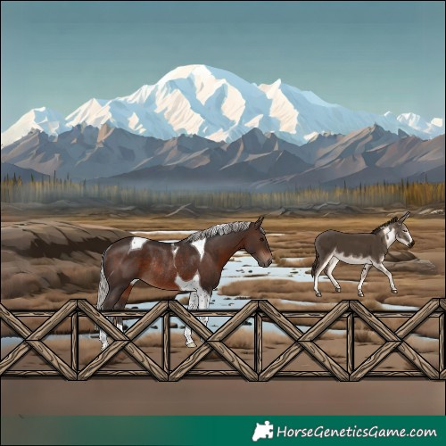 Horse Color:Silver Brown Tobiano Rabicano 