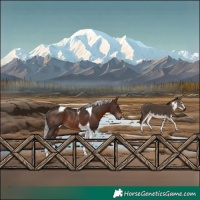 Horse Color:Silver Brown Tobiano Rabicano