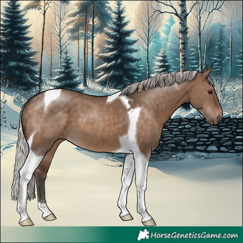 Horse Color:Silver Brown Dun Tobiano 