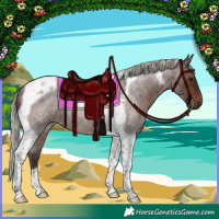 Horse Color:Silver Brown Roan Tobiano Rabicano 