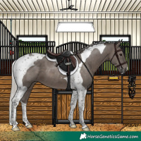 Horse Color:Silver Black Tobiano 
