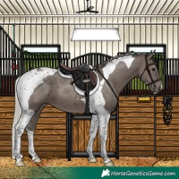 Horse Color:Silver Black Tobiano