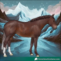 Horse Color:Chocolate Brown 