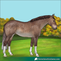 Horse Color:Chocolate Brown Dun 