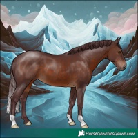 Horse Color:Chocolate Brown 