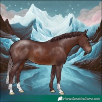 Horse Color:Chocolate Brown 