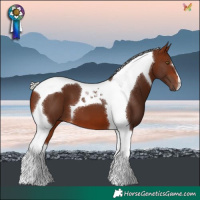 Horse Color:Silver Brown Tobiano 