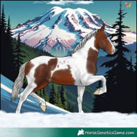 Horse Color:Silver Brown Tobiano 