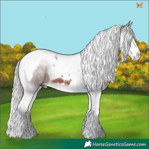 Horse Color:Silver Brown Splash Tobiano 
