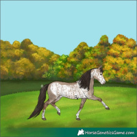 Horse Color:Liver Red Dun and Liver Red Dun Frame