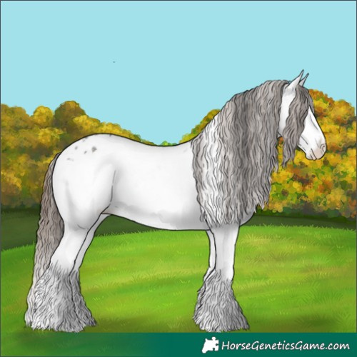 Horse Color:Grullo Sabino Splash Appaloosa 