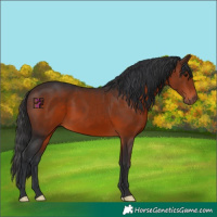 Horse Color:Brown 
