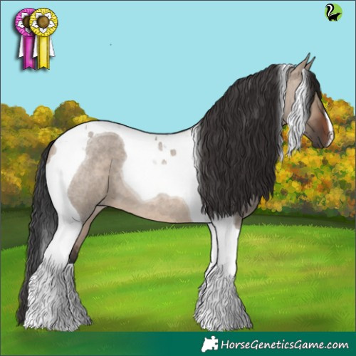 Horse Color:Brown Roan Dun Tobiano 