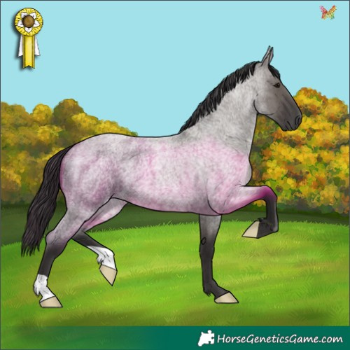 Horse Color:Smoky Grullo Roan 