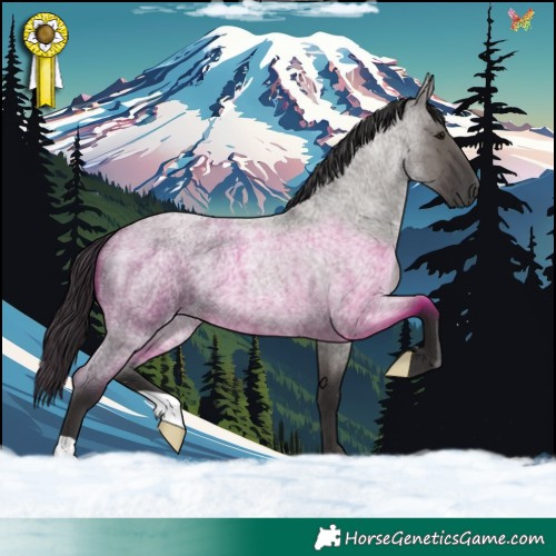 Horse Color:Smoky Grullo Roan 