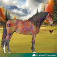Horse Color:Nacre Bay 