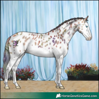 Horse Color:Nacre Bay Dun Splash Near Leopard