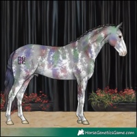 Horse Color:Nacre Buckskin Sabino