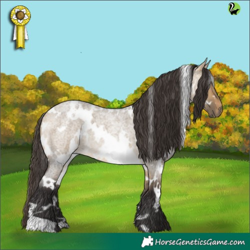 Horse Color:White Spotted Buckskin Roan Dun 