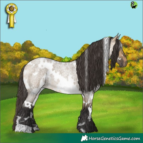 Horse Color:White Spotted Buckskin Roan Dun 