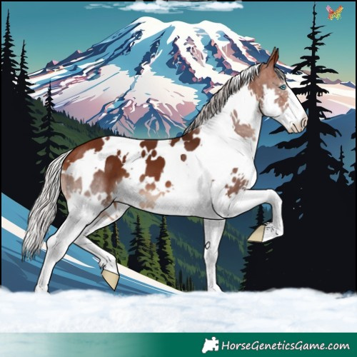 Horse Color:White Spotted Silver Brown Splash 
