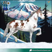 Horse Color:White Spotted Silver Brown Splash 
