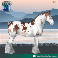Horse Color:White Spotted Silver Brown Splash 