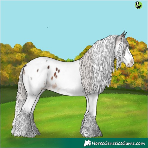 Horse Color:Silver Brown Splash Tobiano Appaloosa 