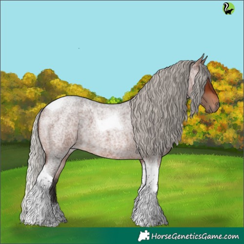 Horse Color:Silver Brown Roan Tobiano 