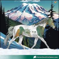 Horse Color:Watercolor Silver Brown Splash Tobiano 