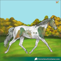 Horse Color:Watercolor Silver Brown Splash Tobiano