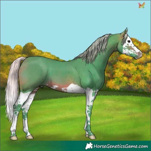 Horse Color:Watercolor Silver Brown Splash 