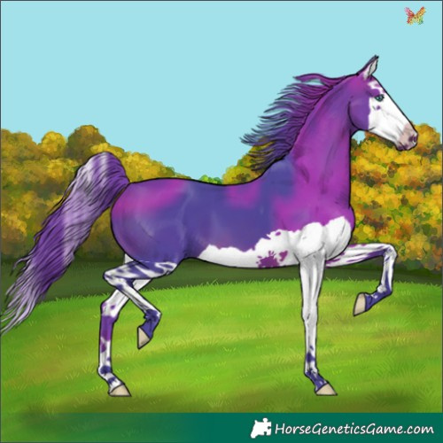 Horse Color:Watercolor Brown Splash 