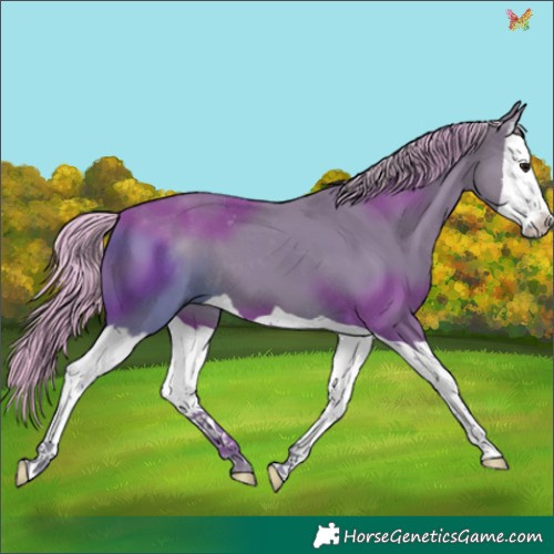 Horse Color:Watercolor Silver Black Splash 