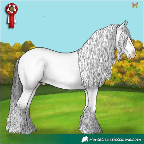 Horse Color:Black Sabino 