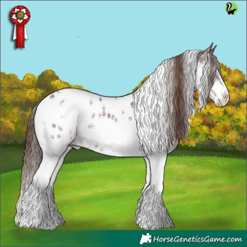 Horse Color:White Spotted Liver Chestnut Sabino Splash Appaloosa 