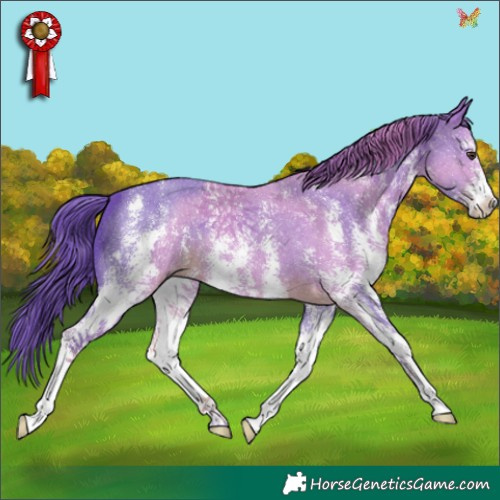 Horse Color:Watercolor Liver Chestnut Sabino 