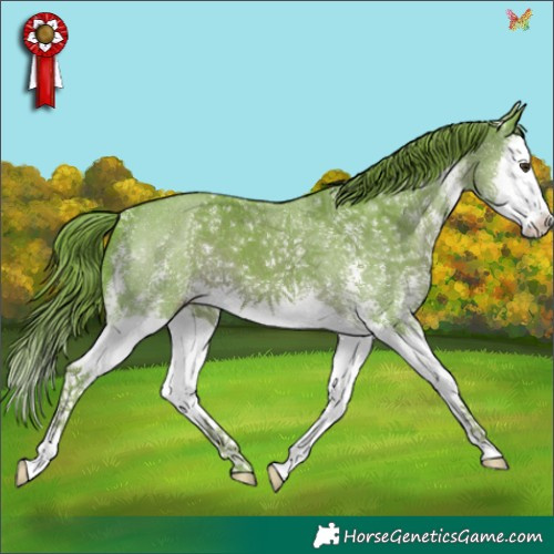 Horse Color:Watercolor Liver Chestnut Sabino Splash 