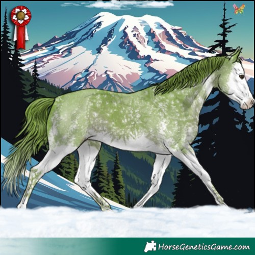 Horse Color:Watercolor Liver Chestnut Sabino Splash 