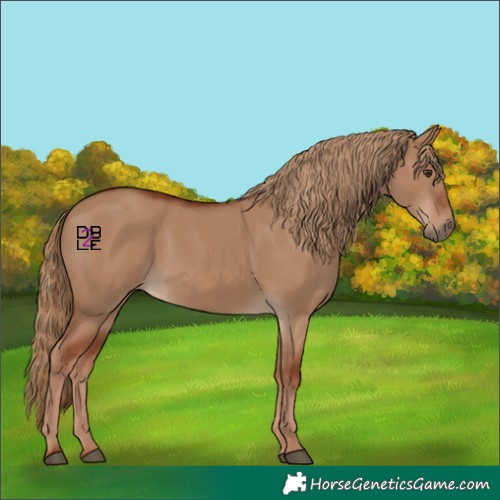 Horse Color:Red Dun 