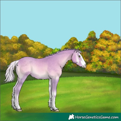 Horse Color:Watercolor Silver Smoky Creme Onyx 
