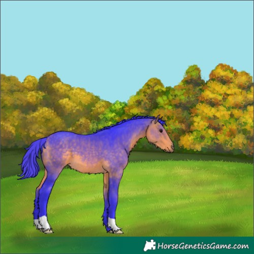 Horse Color:Watercolor Buckskin 