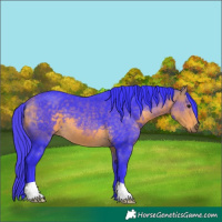 Horse Color:Watercolor Buckskin 