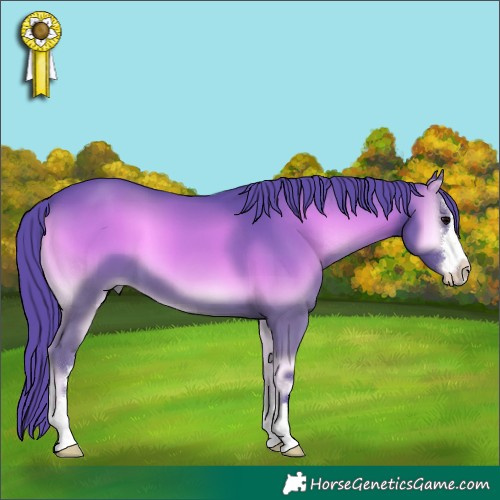 Horse Color:Watercolor Smoky Blue Onyx 
