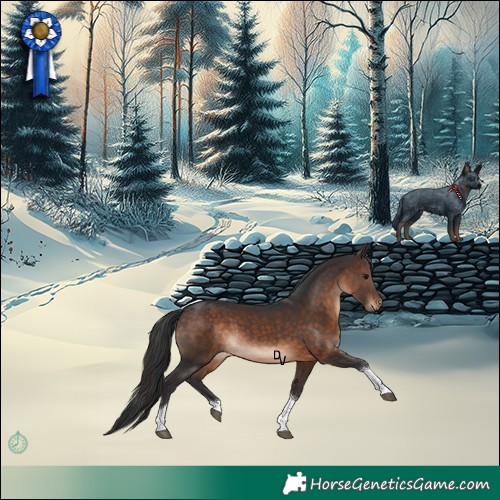 Horse Color:Brown Tobiano Rabicano 