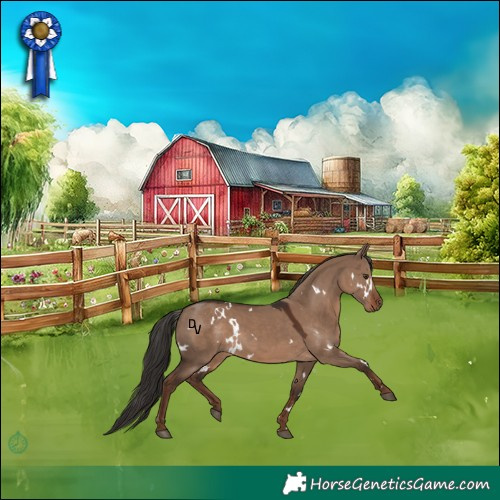 Horse Color:White Spotted Liver Red Dun Rabicano 