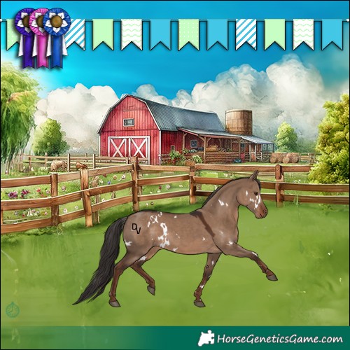 Horse Color:White Spotted Liver Red Dun Rabicano 