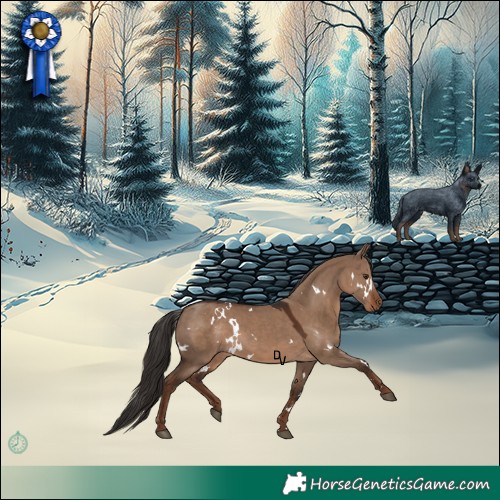 Horse Color:White Spotted Liver Red Dun Rabicano 